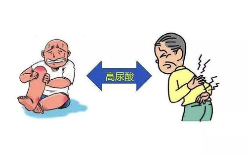 痛風(fēng)怎么引起的